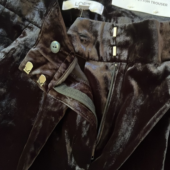 LOFT Curvy Peyton Trouser in Velvet - Picture 6 of 10